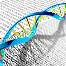 Genetics and Statistics Faculty Collaborate to Advance Genetics through Analysis of Diverse Populations