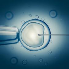 Why Do So Many Pregnancies and In Vitro Fertilization Attempts Fail? 